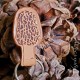 Leather Morel Mushroom Keychain