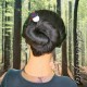 Wood Black Amanita Mushroom Hair stick