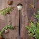 Wood Black Amanita Mushroom Hair stick