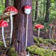 Wood Red Amanita Mushroom Hair stick