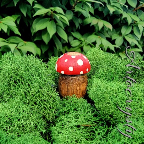Amanita Mushroom Bead, Toadstool Bead, Wood Mushroom Dreadlock Bead