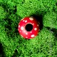 Amanita Mushroom Bead, Toadstool Bead, Wood Mushroom Dreadlock Bead