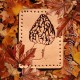 Light Hilltopper Morel Mushroom Leather Patch, Mushroom Collector Gift, Morel Foraging gift, Mycology leather patch