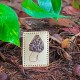 Black Morel Mushroom Leather Patch