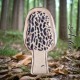 Morel Mushroom Leather Magnet, Mycology leather Magnet